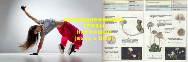 мяу мяу мука Беломорск