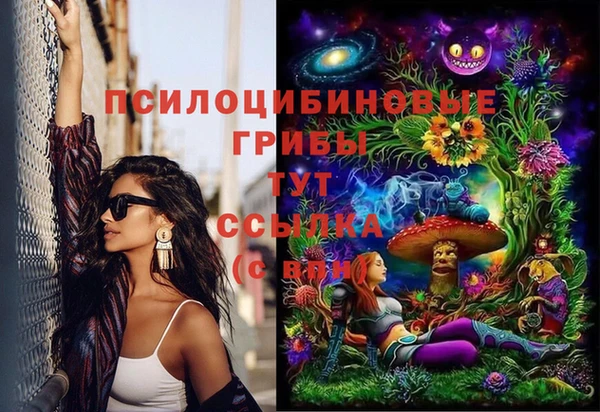 прущий лед Заречный