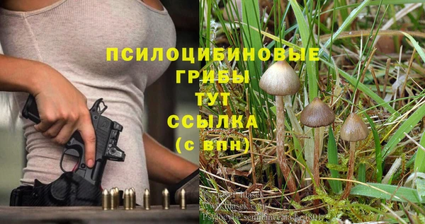 каннабис Белокуриха
