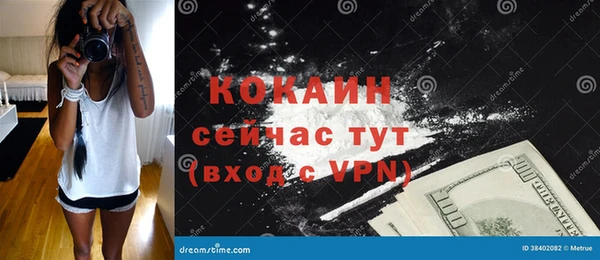 мдпв Зарайск