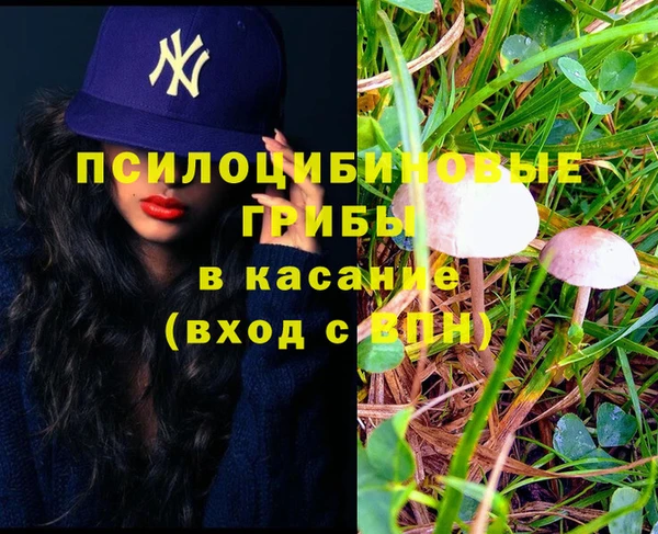 мяу мяу мука Беломорск