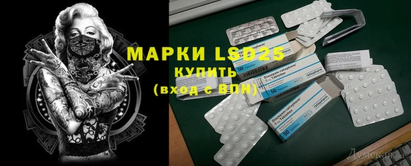 мяу мяу мука Беломорск