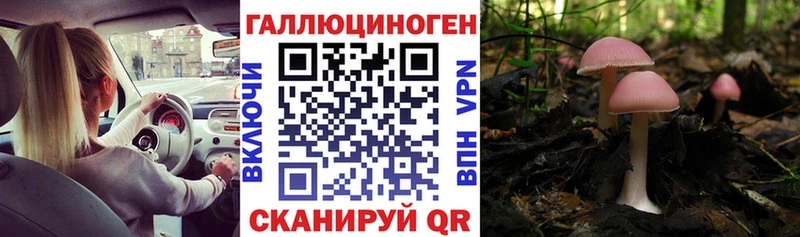 Псилоцибиновые грибы GOLDEN TEACHER  где продают наркотики  Велиж 